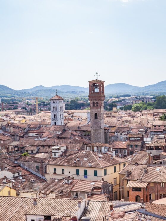 photoholgic-uLQ6f3M-avE-unsplash