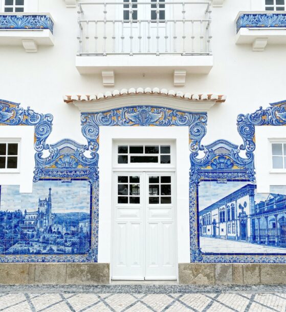 leandro-barreto-JtUNJJcxCdQ-unsplash