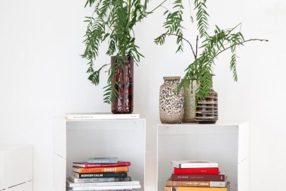 destinationbcn-marimon-barcelona-plants