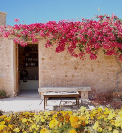 Españolita Trips – The Mediterranean Retreat