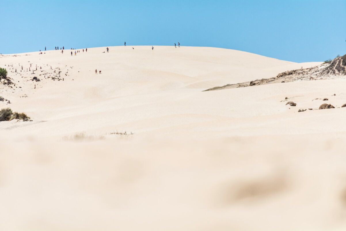 tarifa-bolonia-jose-antonio-jimenez-macias-nUK0El9syco-unsplash