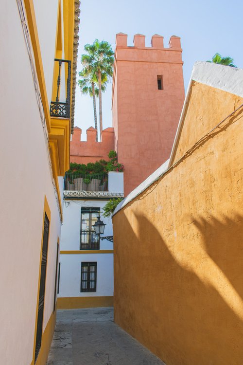 sebastian-malecki-DGJcdW96qW0-unsplash