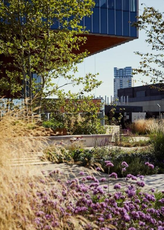 Garden+at+Stratford+Hotel