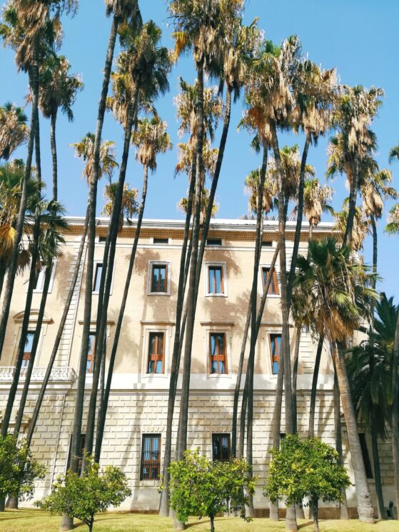 Processed with VSCO with l4 preset