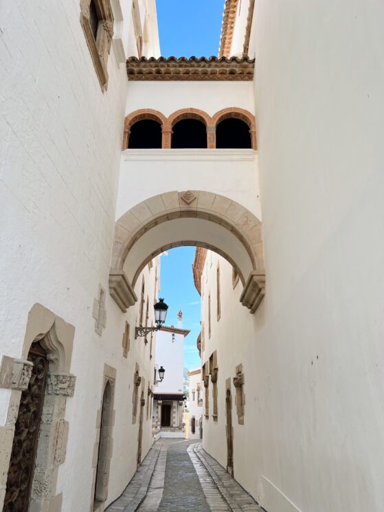 Processed with VSCO with al1 preset