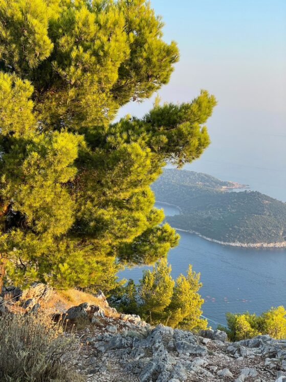 dubrovnik-50m-above-sY-MLvMtQ4w-unsplash