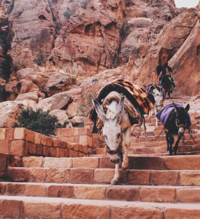 Why You Need to Visit Egypt, the Red Sea and Jordan