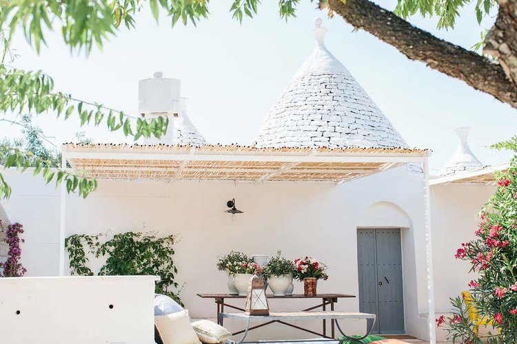 fikus-puglia