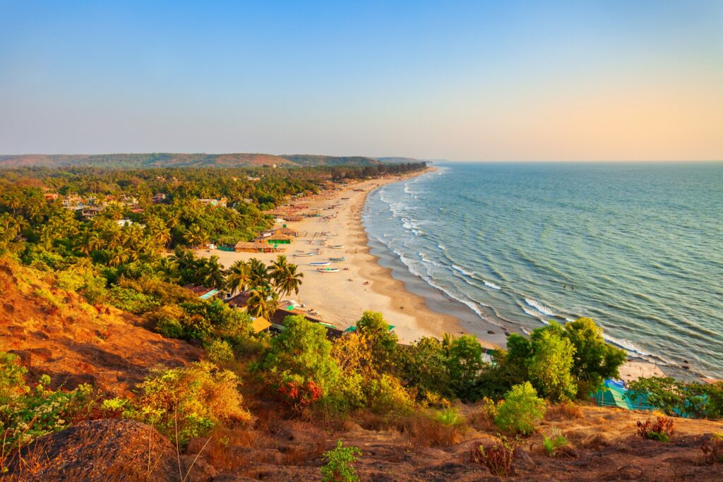 A scenic view of a golden beach in Goa with lush green palm trees and the Arabian Sea stretching into the horizon.