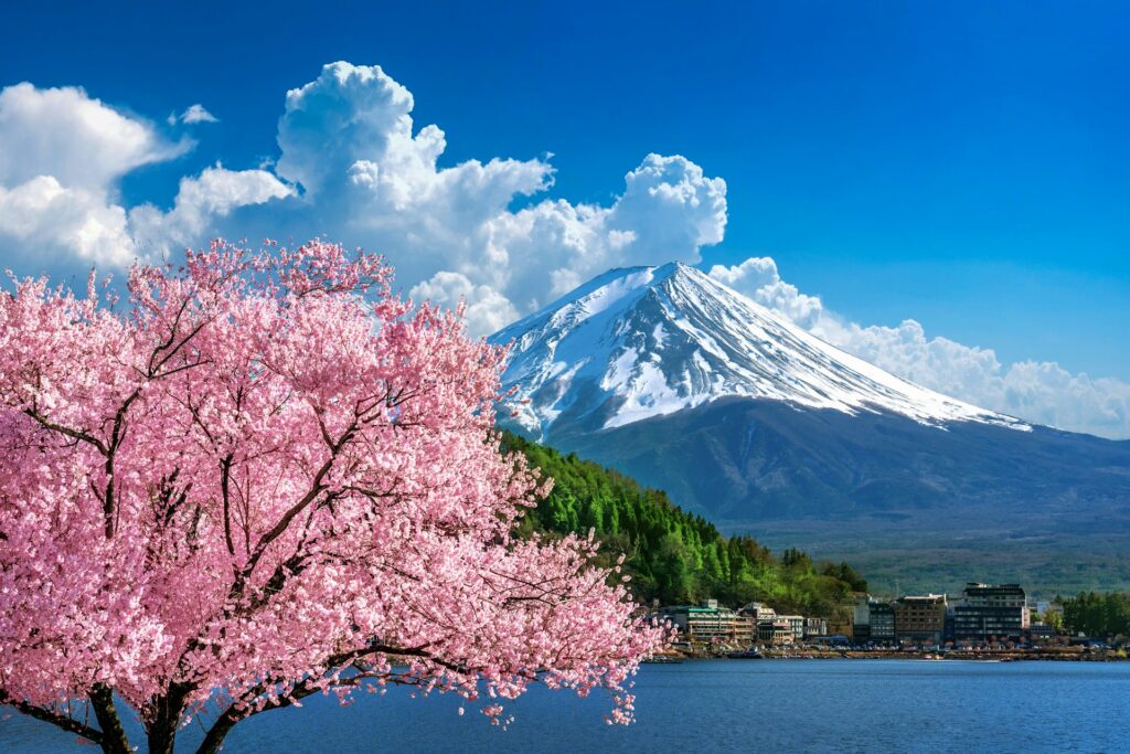 Image of mountain and cherry blossom trees in Japan