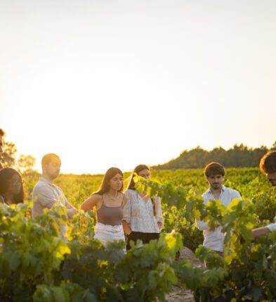 Inside a Catalan Wine Escape with Sitges Wine Club
