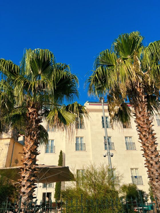 Processed with VSCO with l4 preset