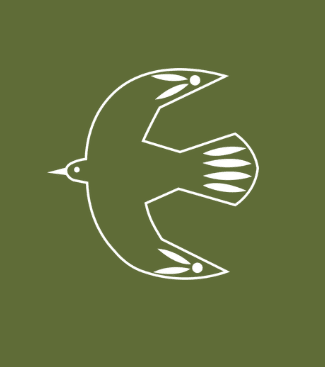 Image Post 1