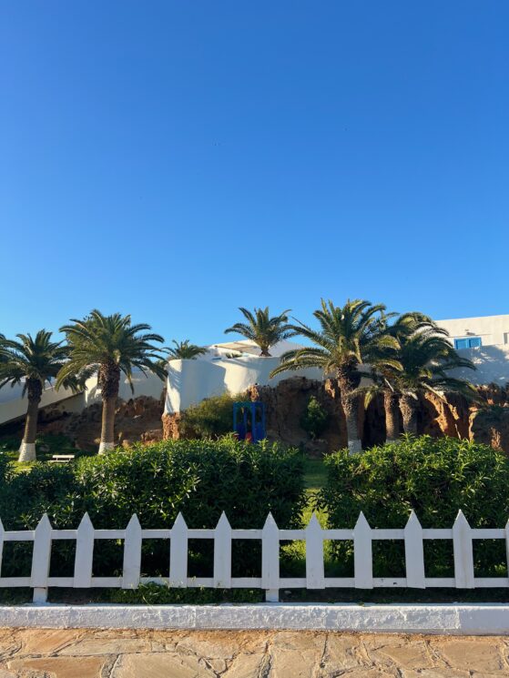 tipasa-algeria-whitewashed-architecture-palm-trees