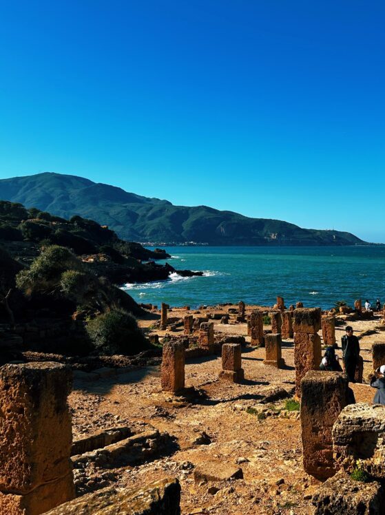 tipasa-roman-ruins-algeria-mediterranean-coast.