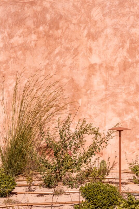 rockrose-melides-terracotta-garden